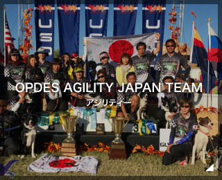 アジリティー 日本代表チーム「OPDES AGILITY JAPAN TEAM様」